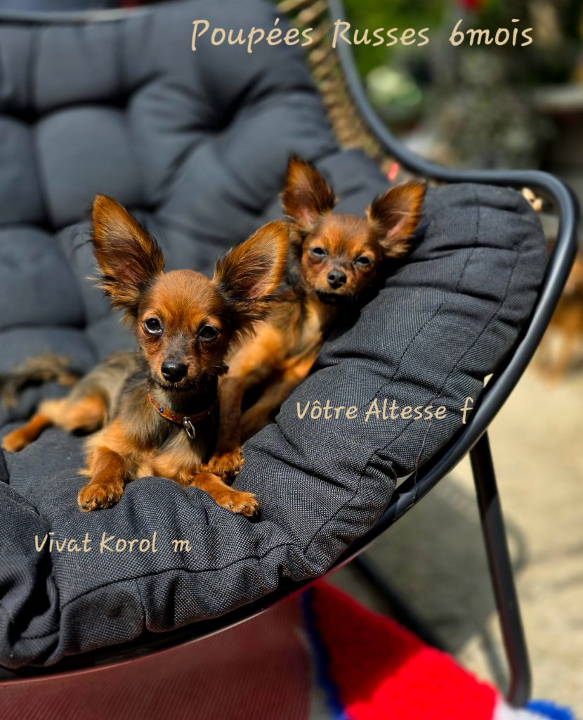 Ils cherchent une famille 